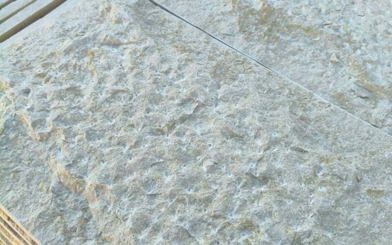 sunny menia nailed 30×60